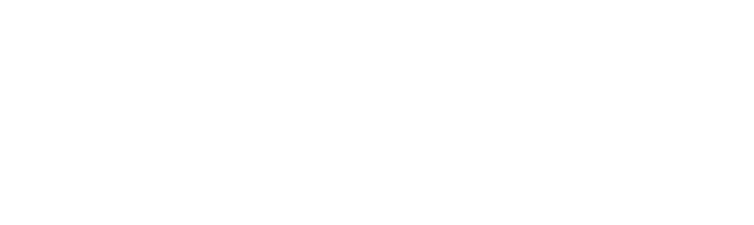 light logo