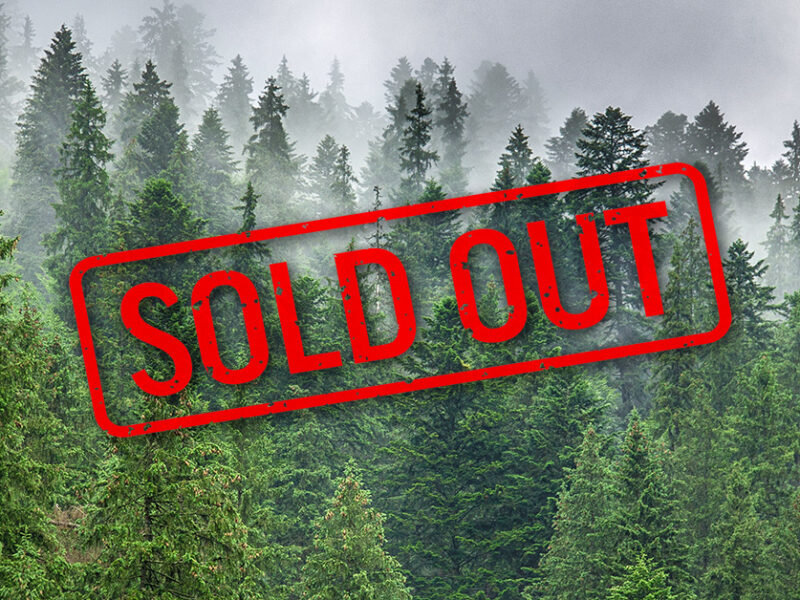 Forest products sold out